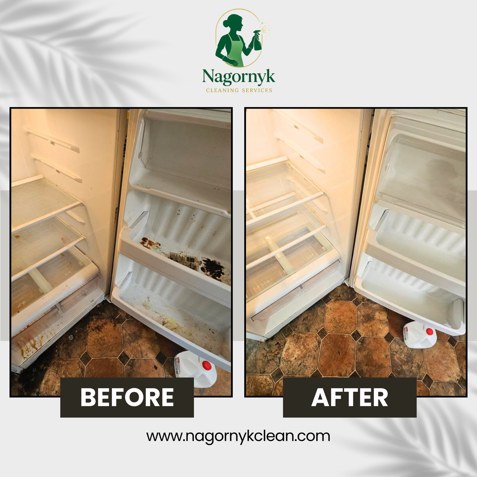 Refrigerator Deep Cleaning