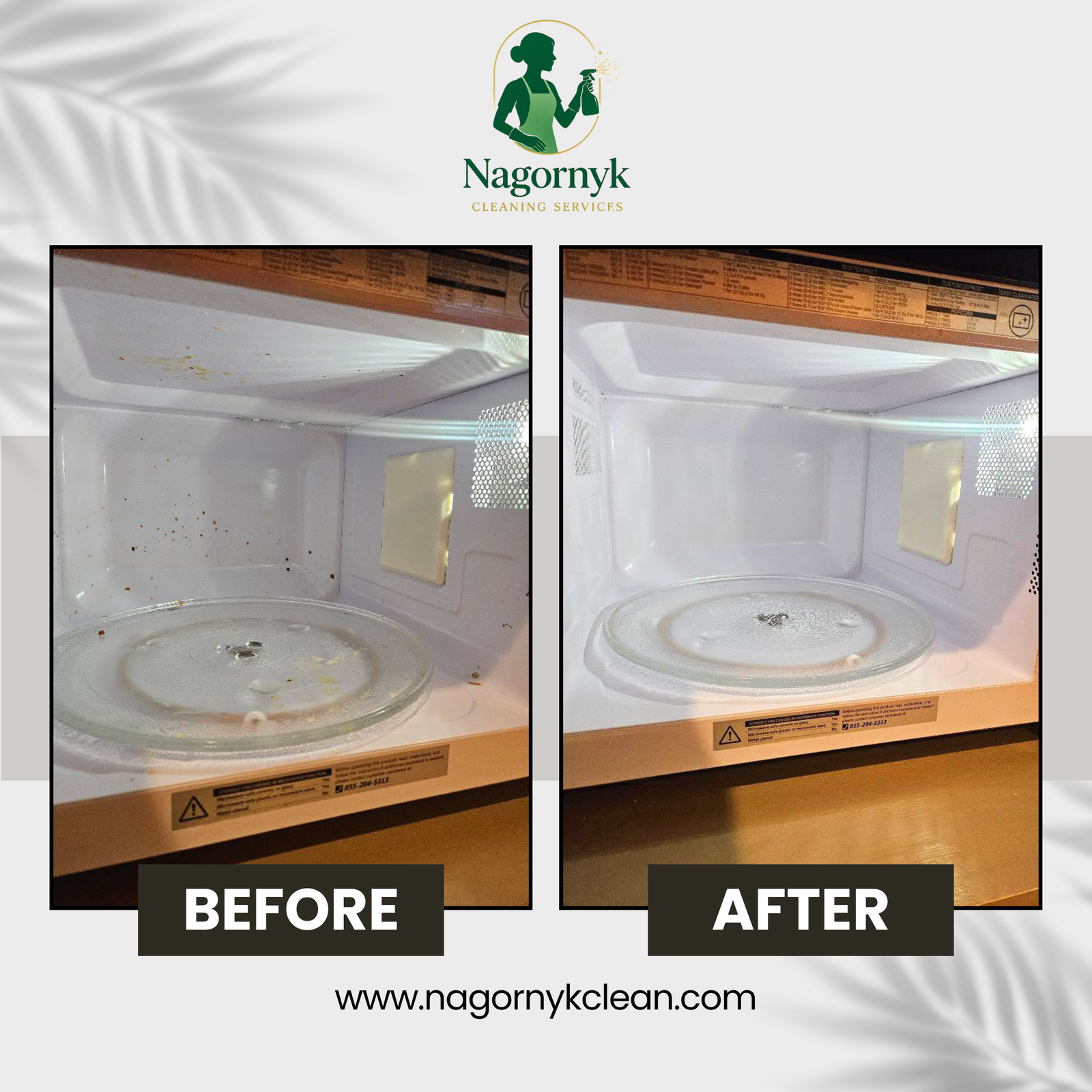 Microwave Detail Sanitation